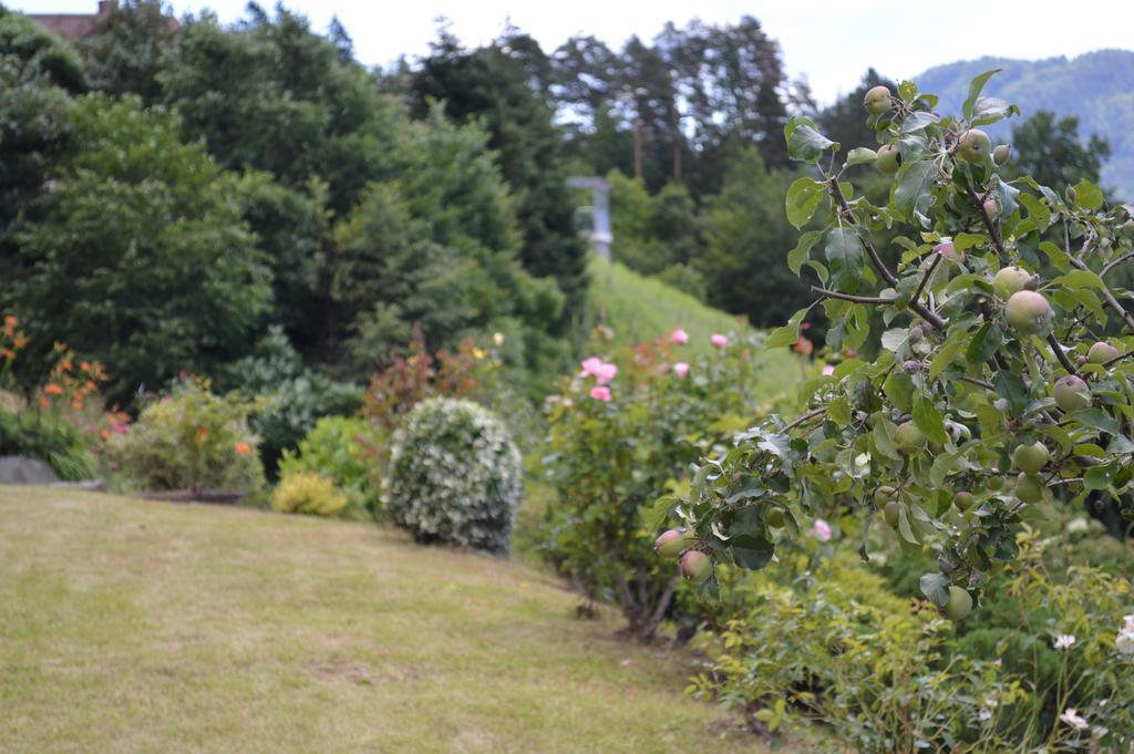 Jaeger Guesthouse Annenheim Luaran gambar